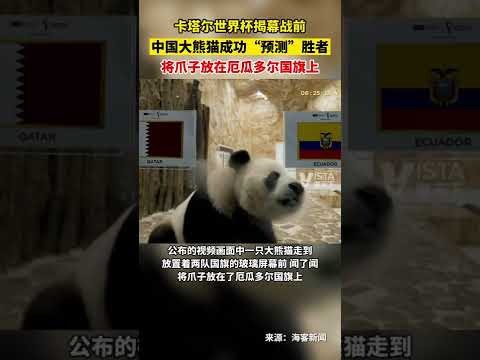 嘴哥赛季高,光战独揽,热火终结,牛博网彩票网,中国牛博网彩票网官方,牛博网彩票网官网,牛博网彩票网首页