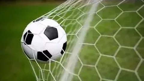 山东泰山景区摩崖石刻新添，全省发现文物遗址超六千处